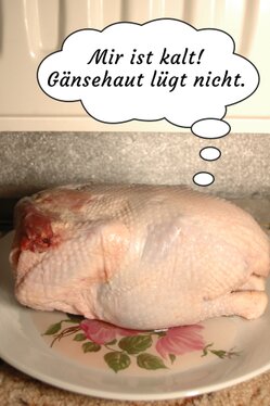 Gans liegt unter der Heizung